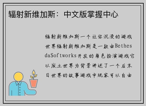 辐射新维加斯：中文版掌握中心